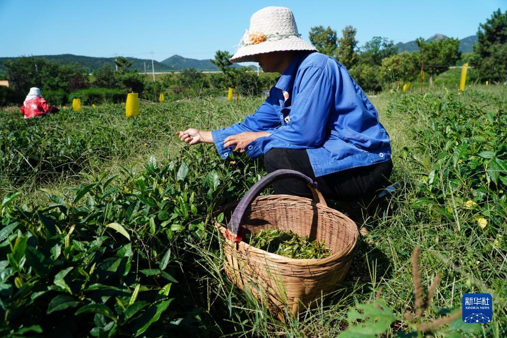世爵用户登录